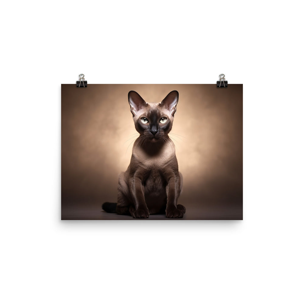 Tonkinese Photo paper poster - PosterfyAI.com