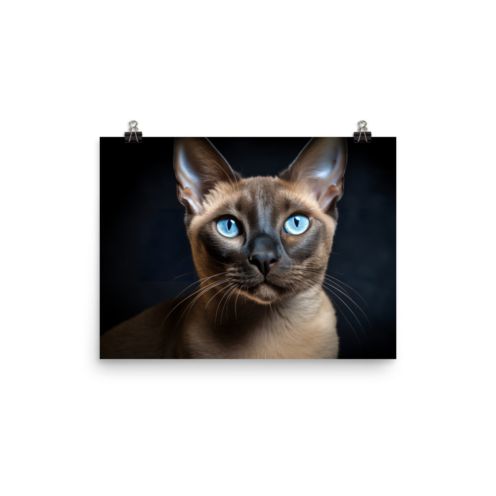 Tonkinese Photo paper poster - PosterfyAI.com