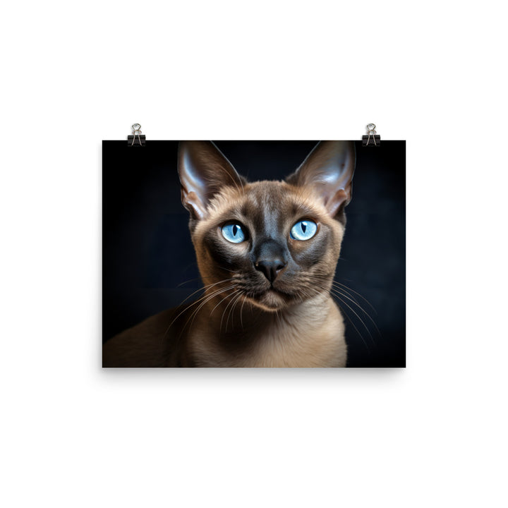 Tonkinese Photo paper poster - PosterfyAI.com