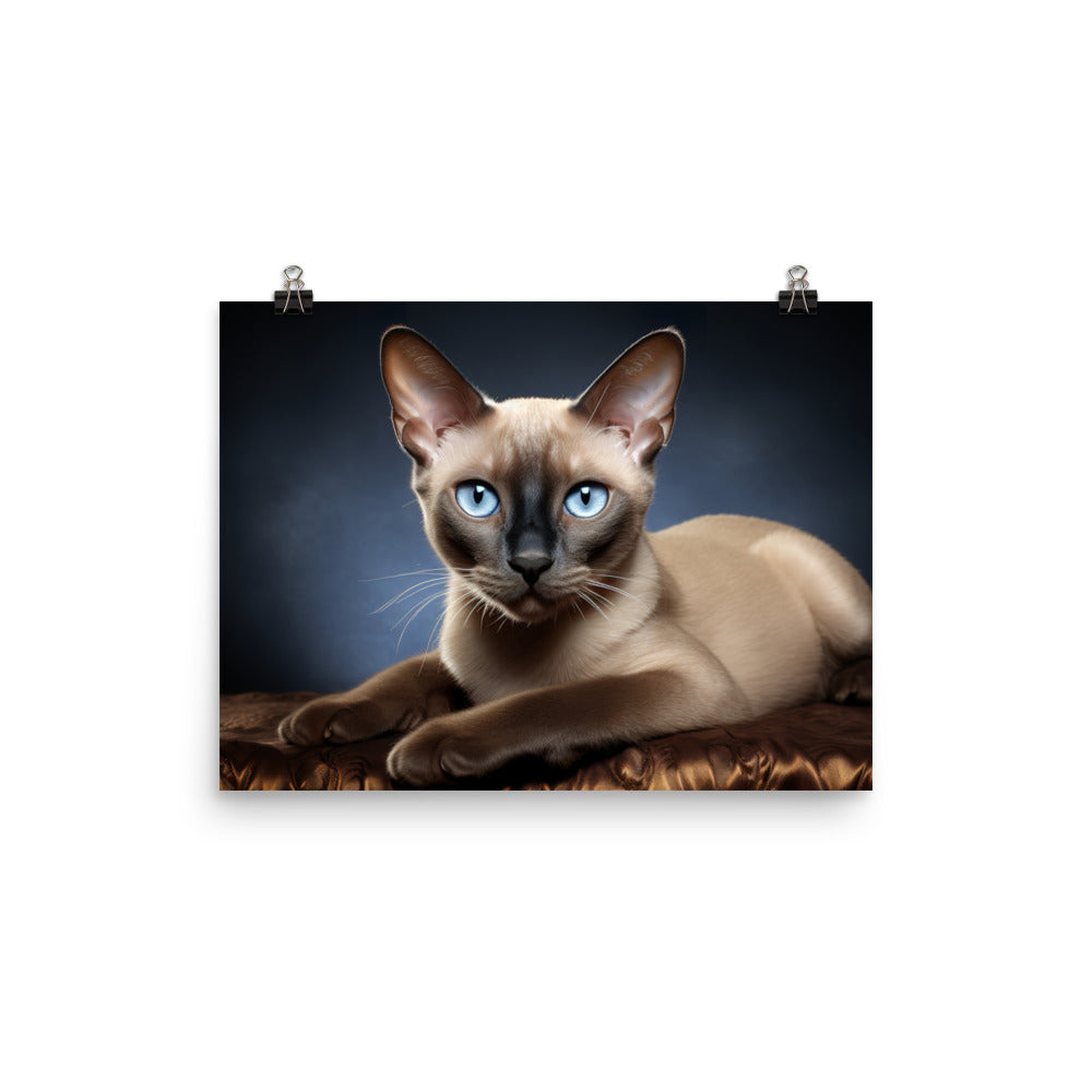 Tonkinese Photo paper poster - PosterfyAI.com