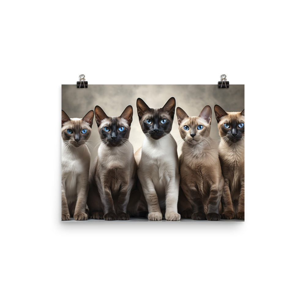 Tonkinese Photo paper poster - PosterfyAI.com