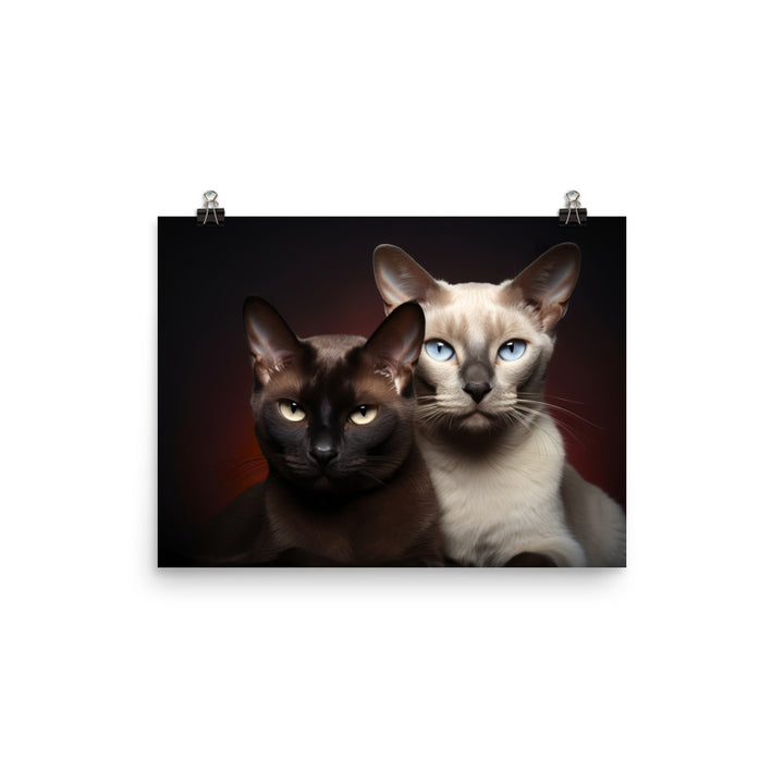 Tonkinese Photo paper poster - PosterfyAI.com