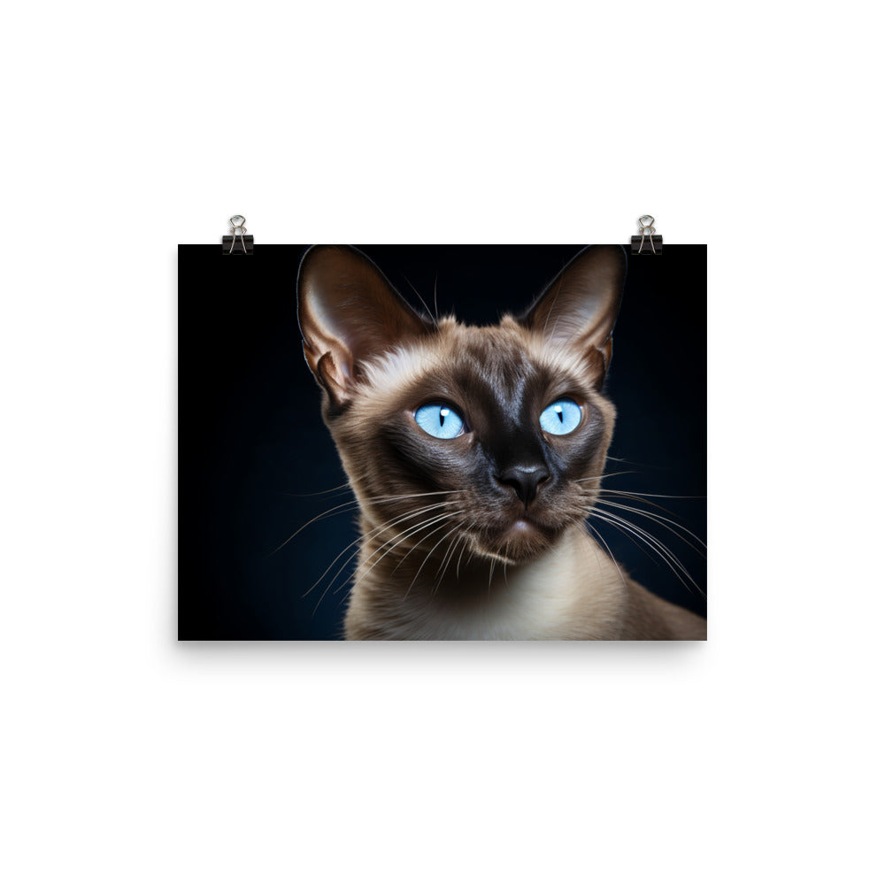 Tonkinese Photo paper poster - PosterfyAI.com