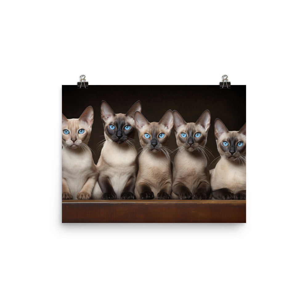 Tonkinese Photo paper poster - PosterfyAI.com