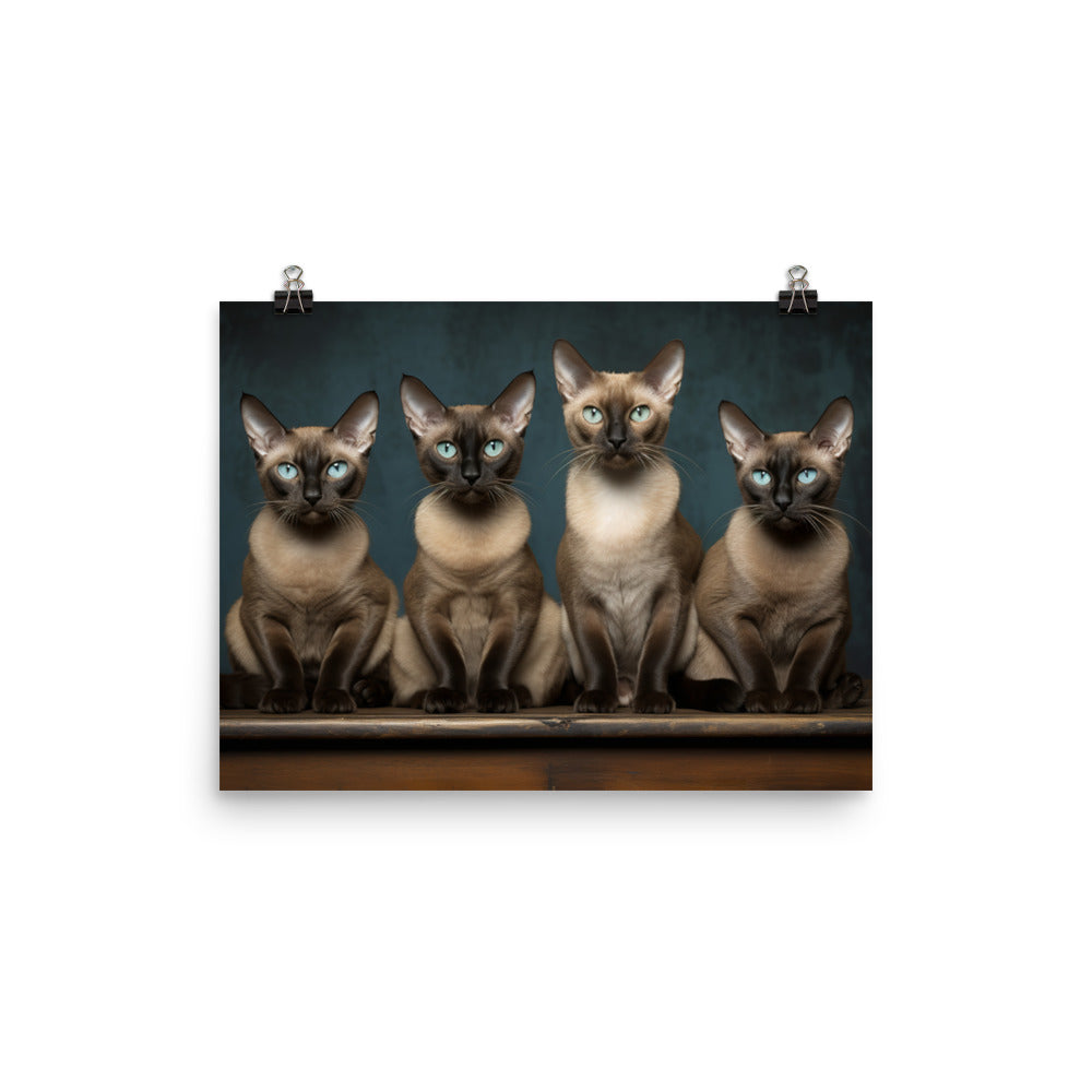 Tonkinese Photo paper poster - PosterfyAI.com