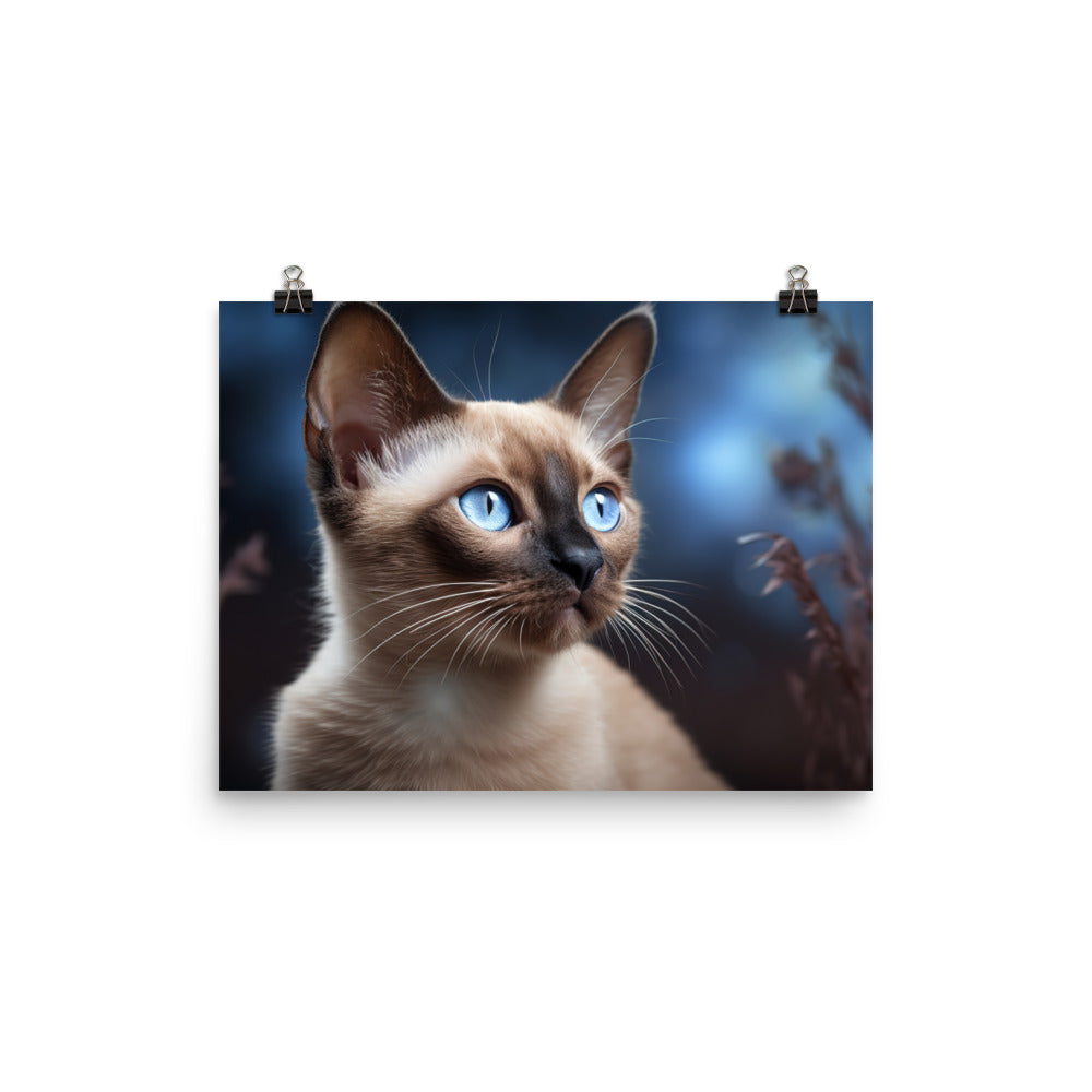 Tonkinese Photo paper poster - PosterfyAI.com