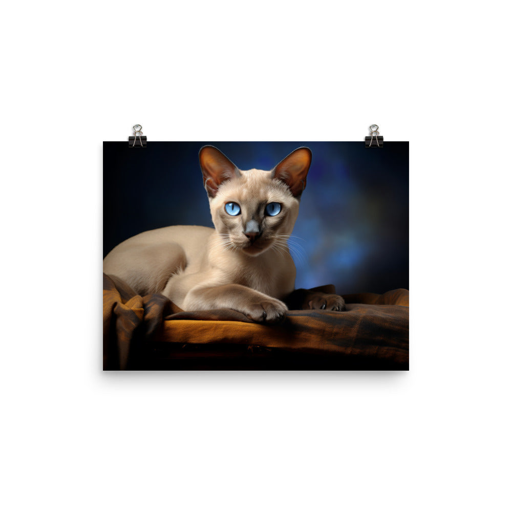 Tonkinese Photo paper poster - PosterfyAI.com