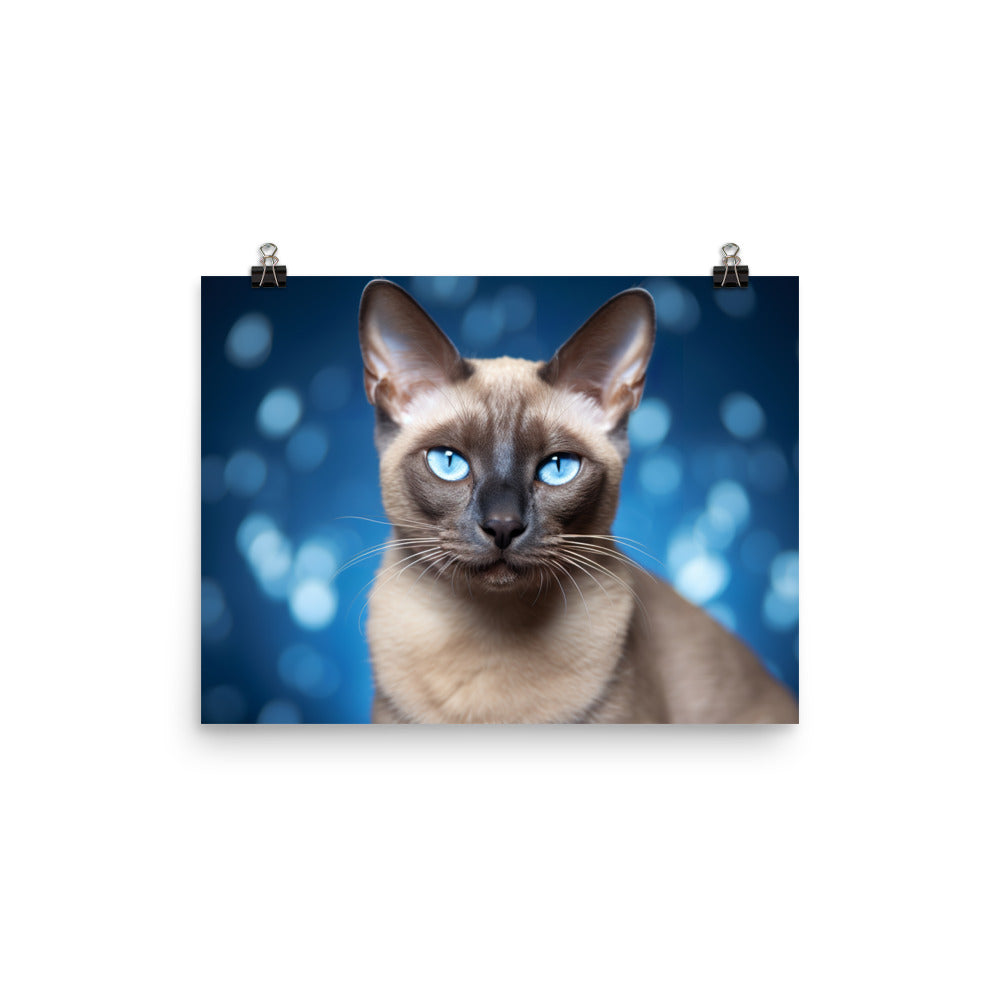 Tonkinese Photo paper poster - PosterfyAI.com