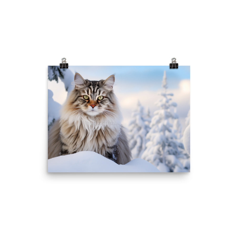Norwegian Forest Photo paper poster - PosterfyAI.com