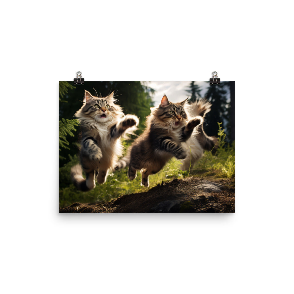 Norwegian Forest Photo paper poster - PosterfyAI.com