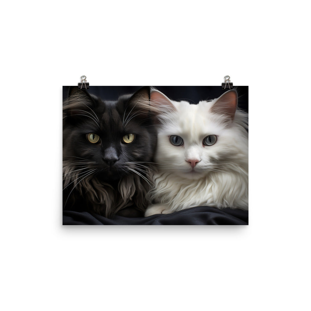 Norwegian Forest Cats Photo paper poster - PosterfyAI.com