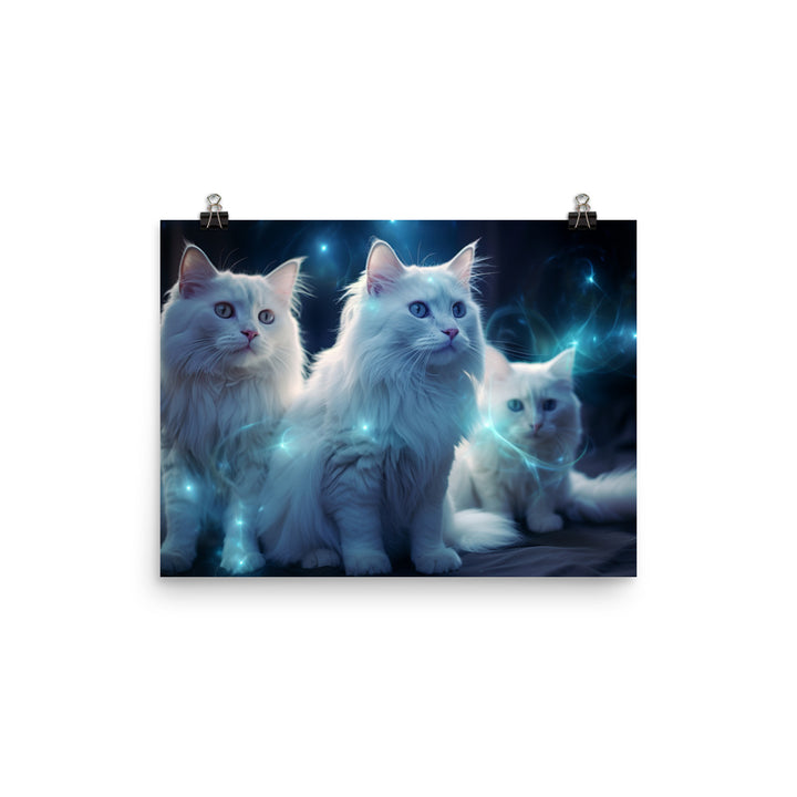 Turkish Angora Photo paper poster - PosterfyAI.com