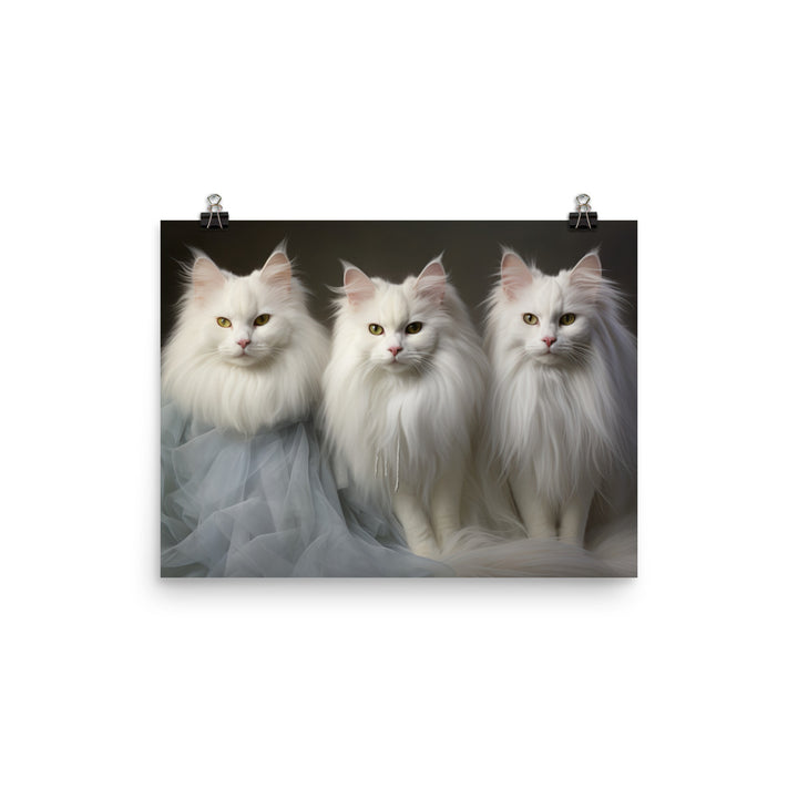 Turkish Angora Photo paper poster - PosterfyAI.com