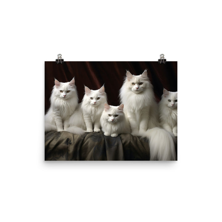 Turkish Angora Photo paper poster - PosterfyAI.com