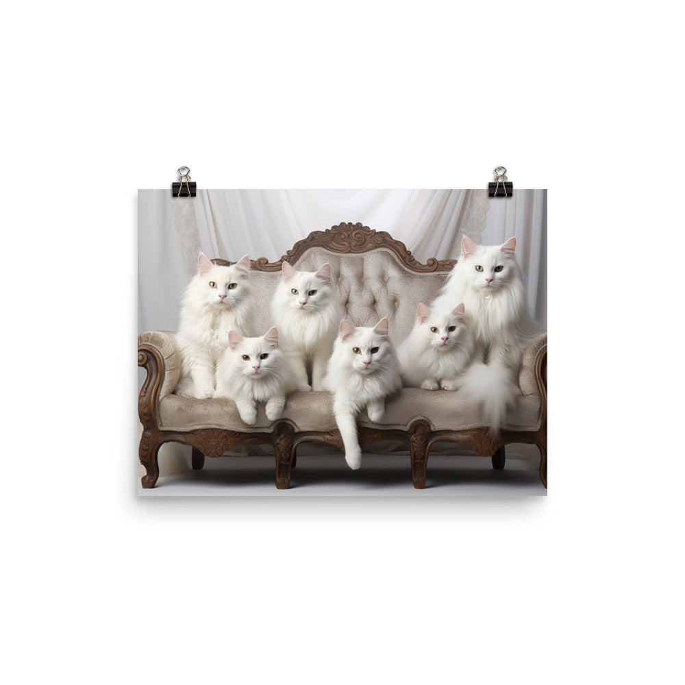 Turkish Angora Photo paper poster - PosterfyAI.com