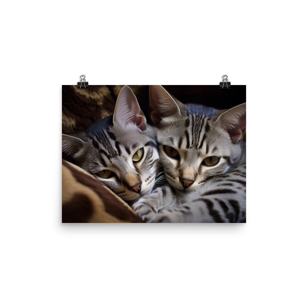 Egyptian Mau Photo paper poster - PosterfyAI.com
