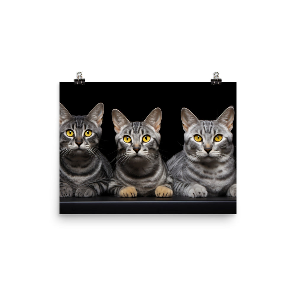 Egyptian Mau Photo paper poster - PosterfyAI.com