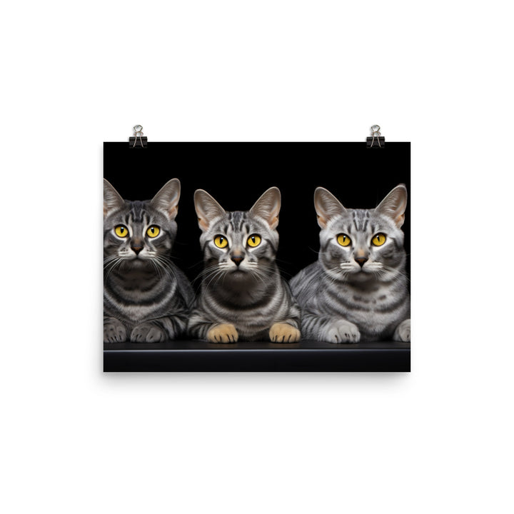 Egyptian Mau Photo paper poster - PosterfyAI.com