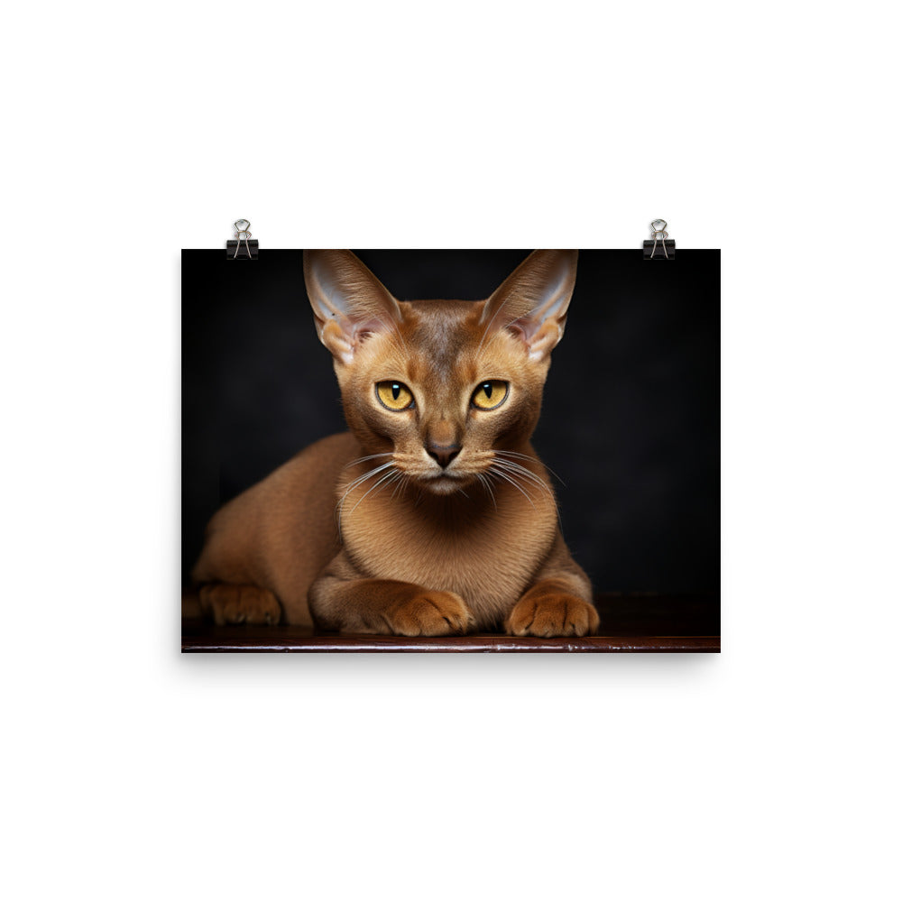 Burmese Photo paper poster - PosterfyAI.com
