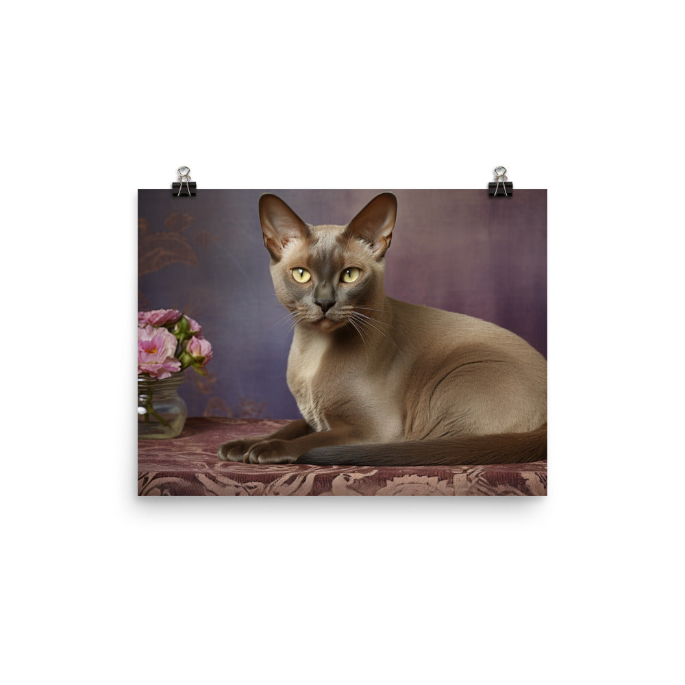 Burmese Photo paper poster - PosterfyAI.com
