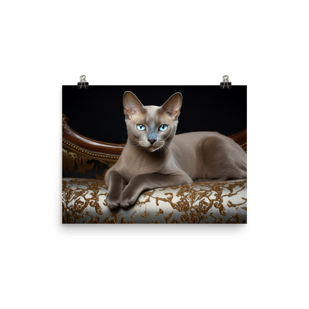 Burmese Photo paper poster - PosterfyAI.com