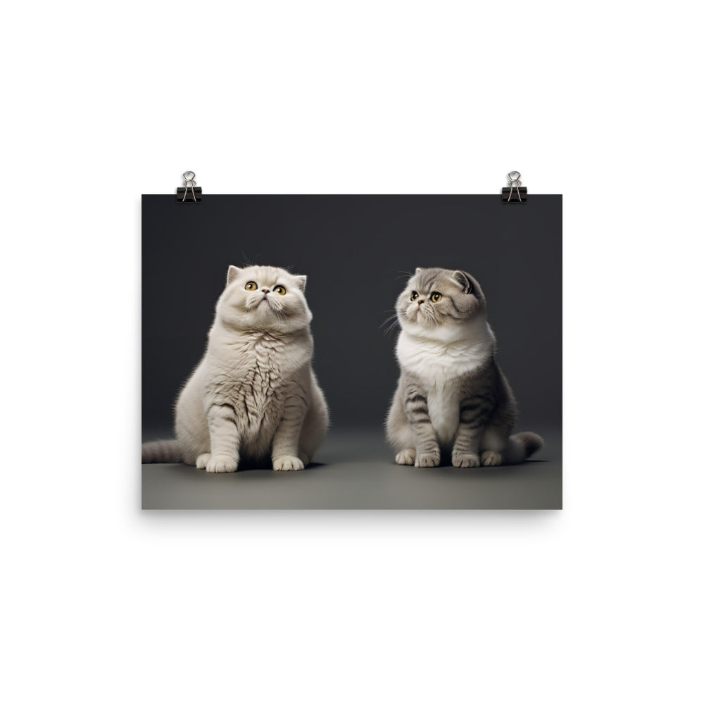 Scottish Fold Photo paper poster - PosterfyAI.com