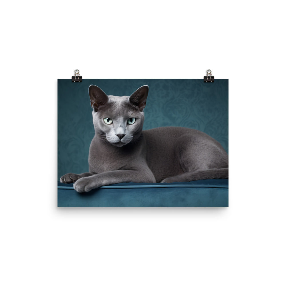 Russian Blue Photo paper poster - PosterfyAI.com