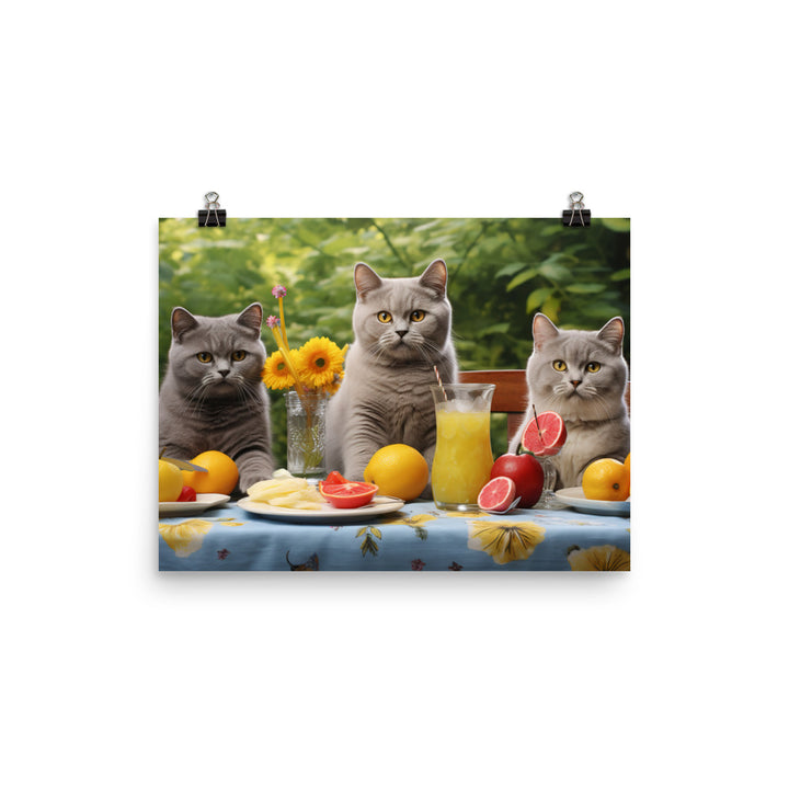 British Shorthair Photo paper poster - PosterfyAI.com