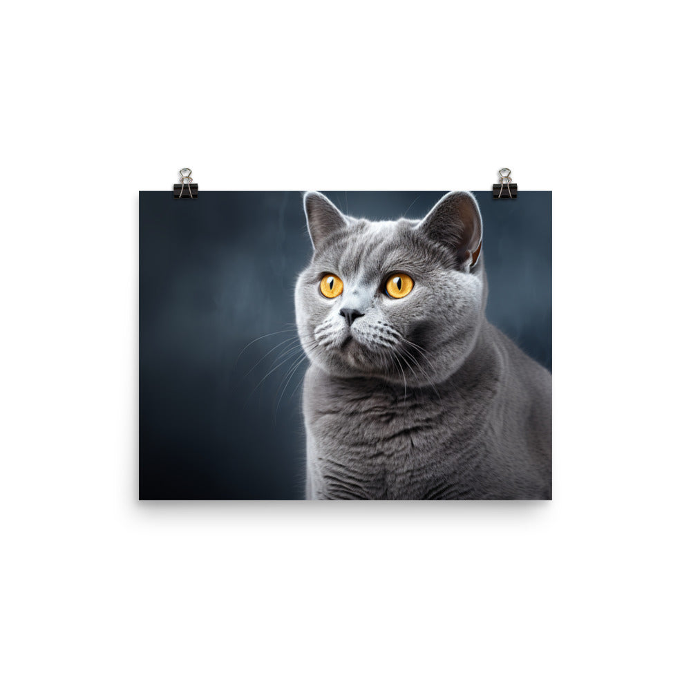 British Shorthair Photo paper poster - PosterfyAI.com