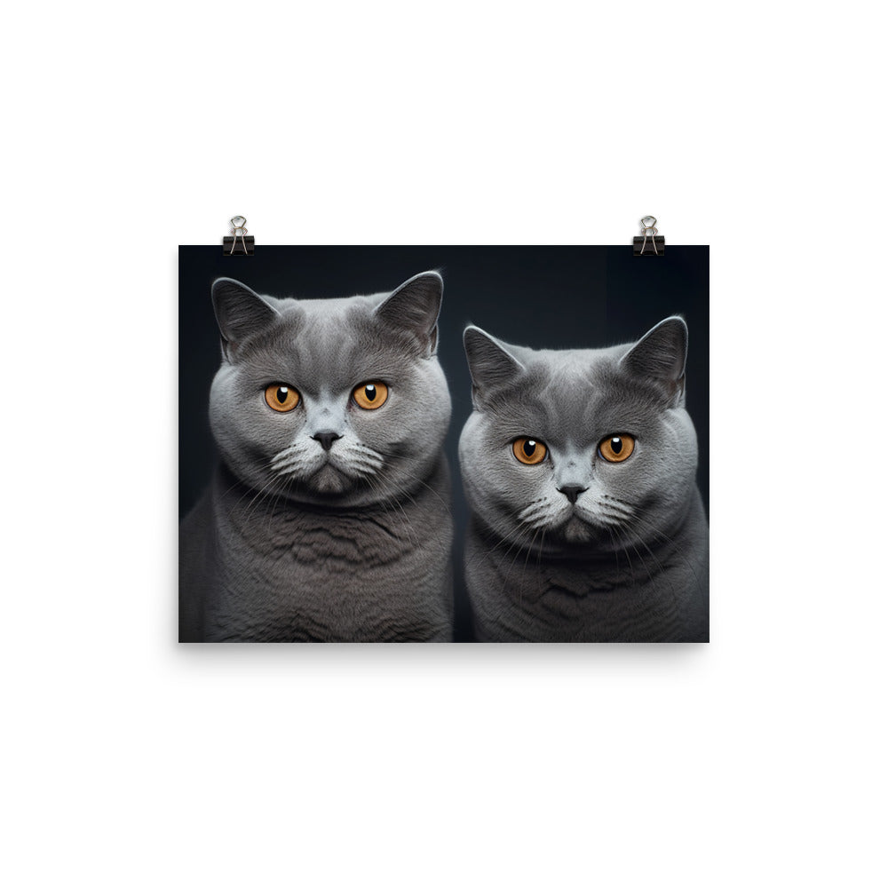 British Shorthair Photo paper poster - PosterfyAI.com