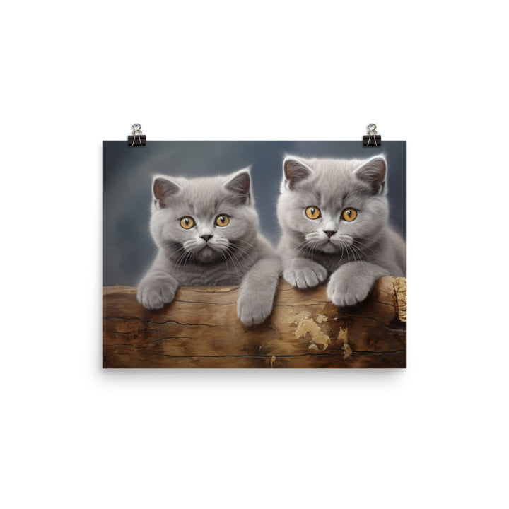 British Shorthair Photo paper poster - PosterfyAI.com