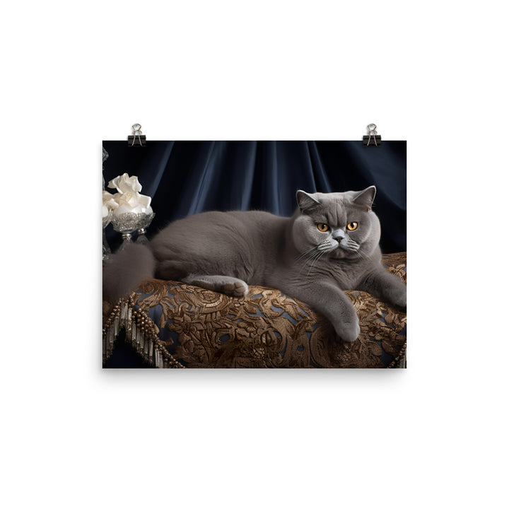 British Shorthair Photo paper poster - PosterfyAI.com