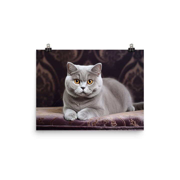 British Shorthair Photo paper poster - PosterfyAI.com