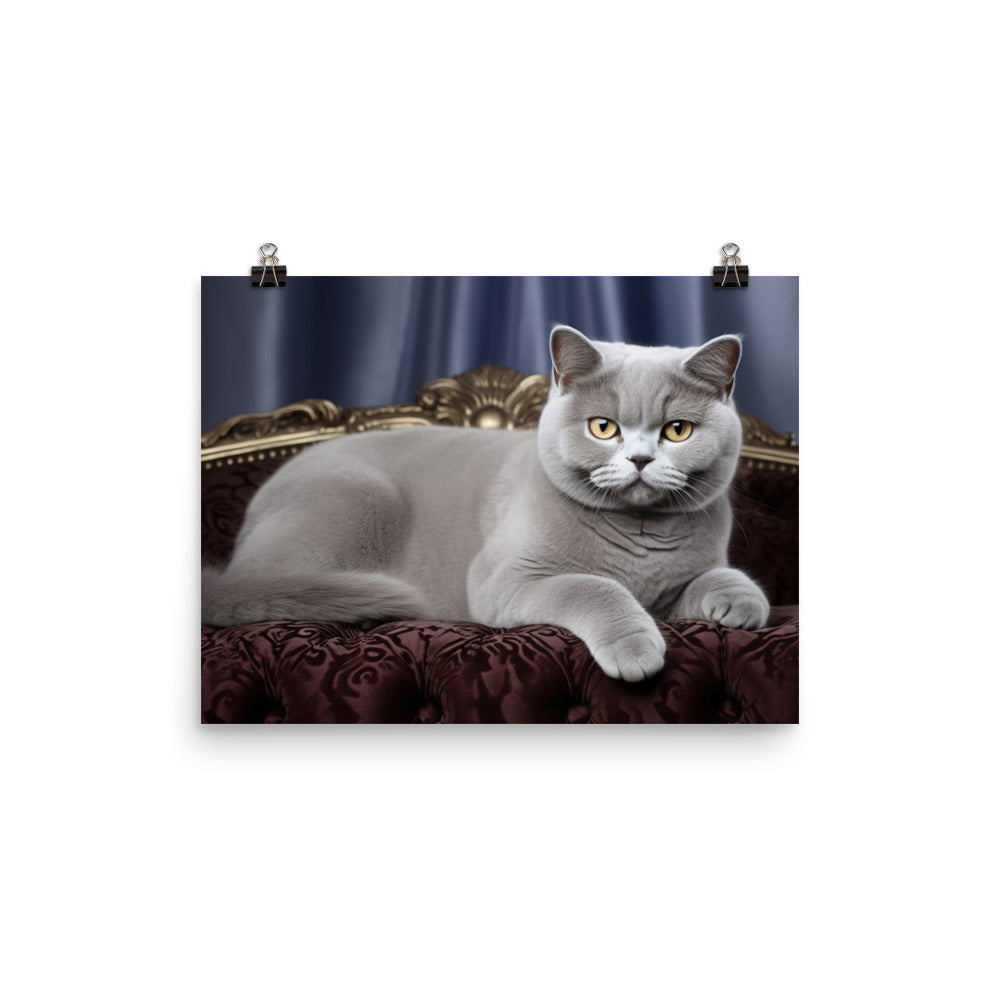 British Shorthair Photo paper poster - PosterfyAI.com