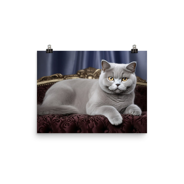 British Shorthair Photo paper poster - PosterfyAI.com