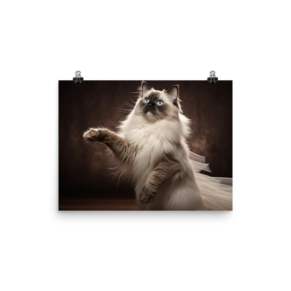 Birman Photo paper poster - PosterfyAI.com