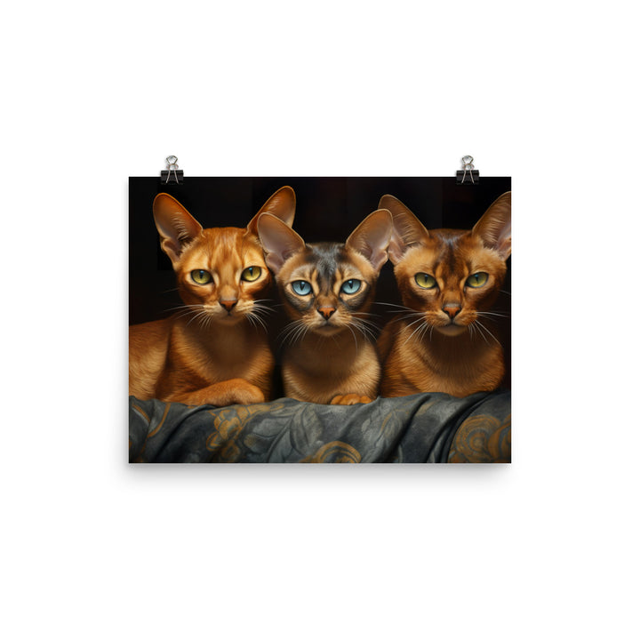 Abyssinian Photo paper poster - PosterfyAI.com