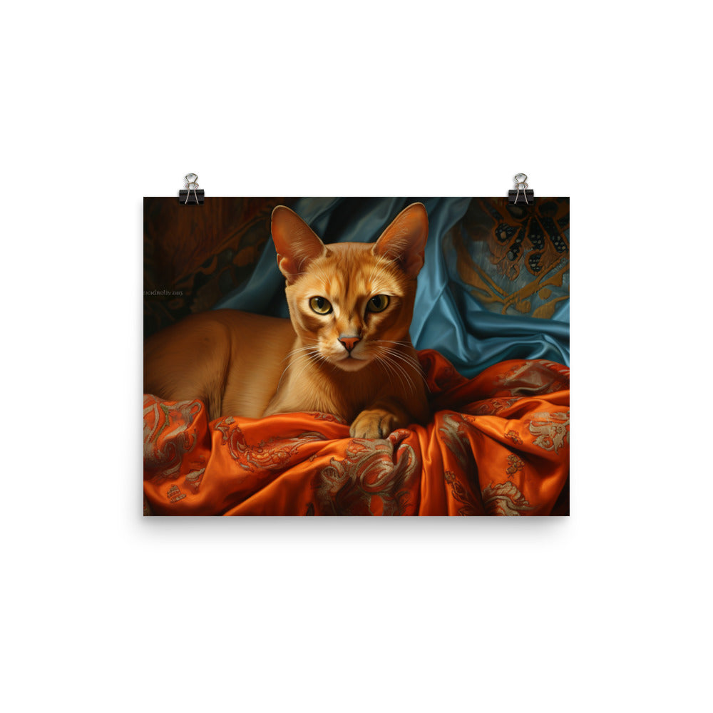 Abyssinian Photo paper poster - PosterfyAI.com