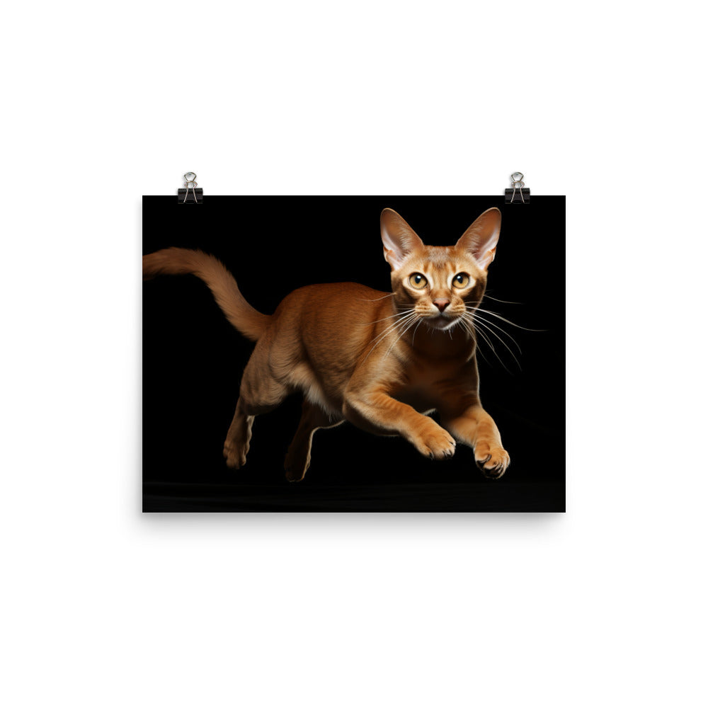Abyssinian Photo paper poster - PosterfyAI.com