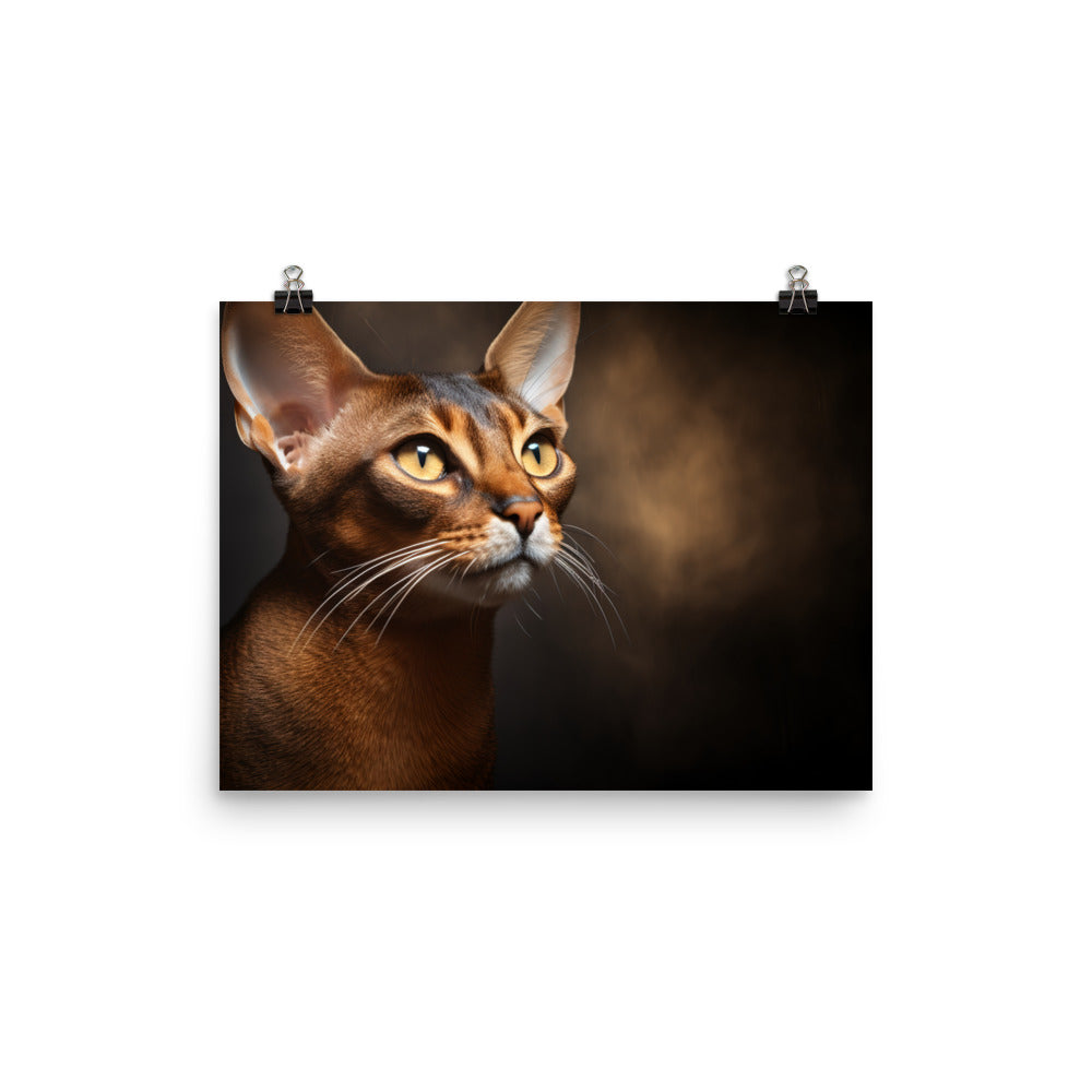 Abyssinian Photo paper poster - PosterfyAI.com