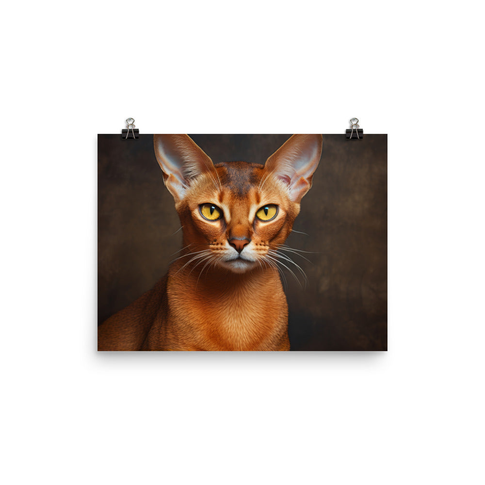 Abyssinian Photo paper poster - PosterfyAI.com