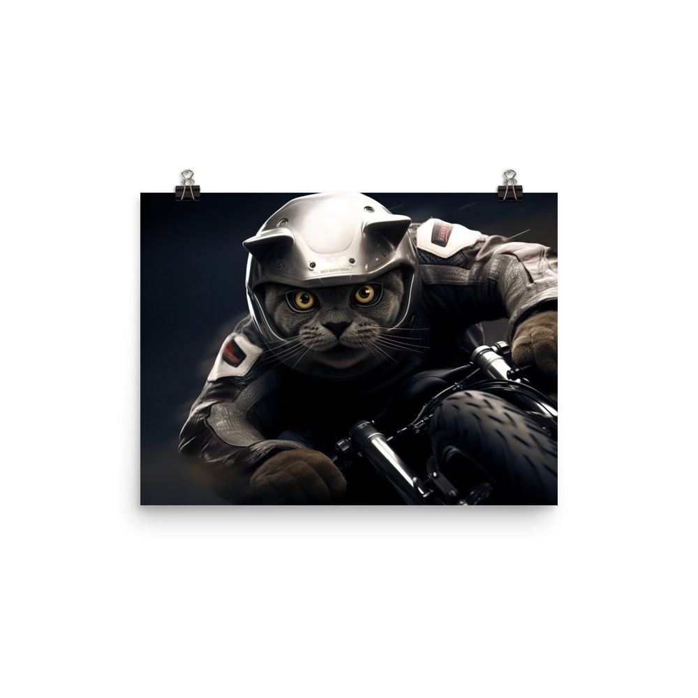 British Shorthair Superbike Athlete Photo paper poster - PosterfyAI.com