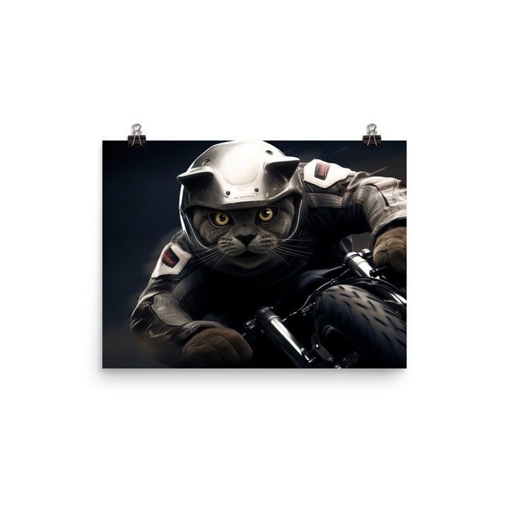 British Shorthair Superbike Athlete Photo paper poster - PosterfyAI.com