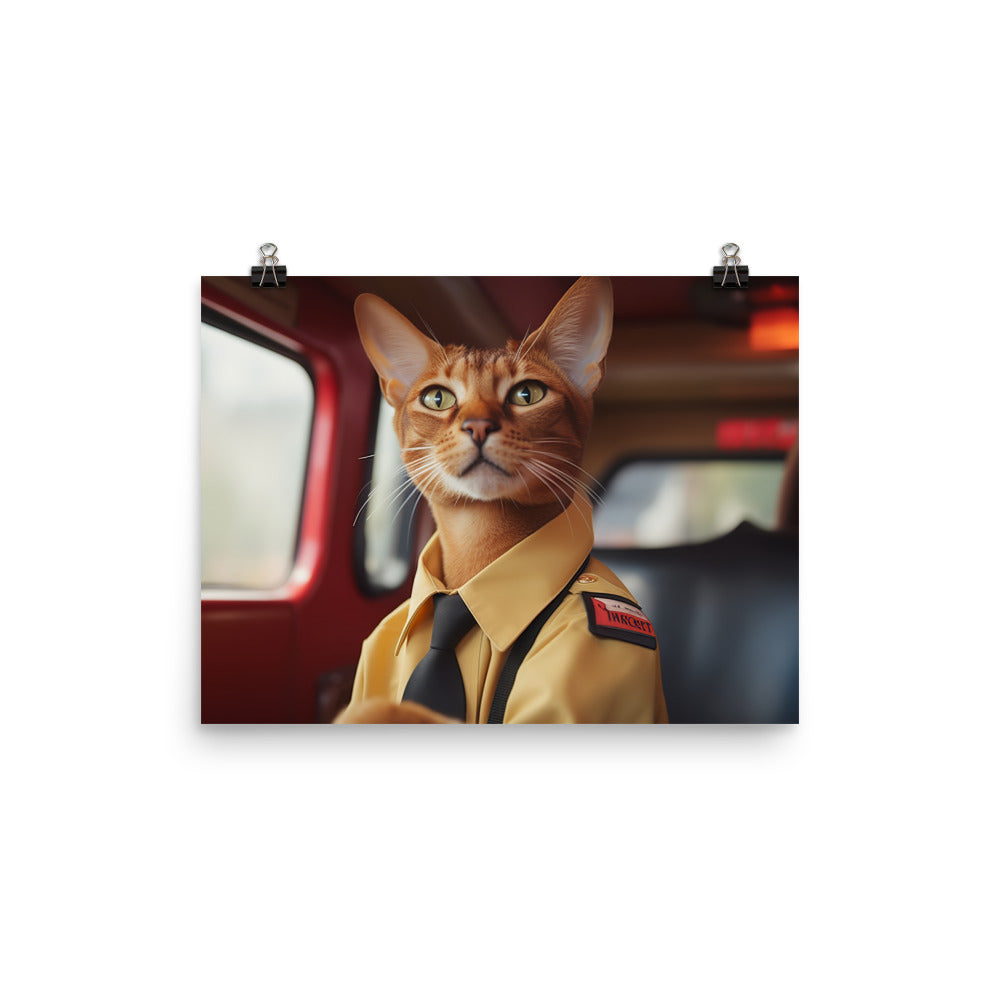 Abyssinian Transit Operator Photo paper poster - PosterfyAI.com