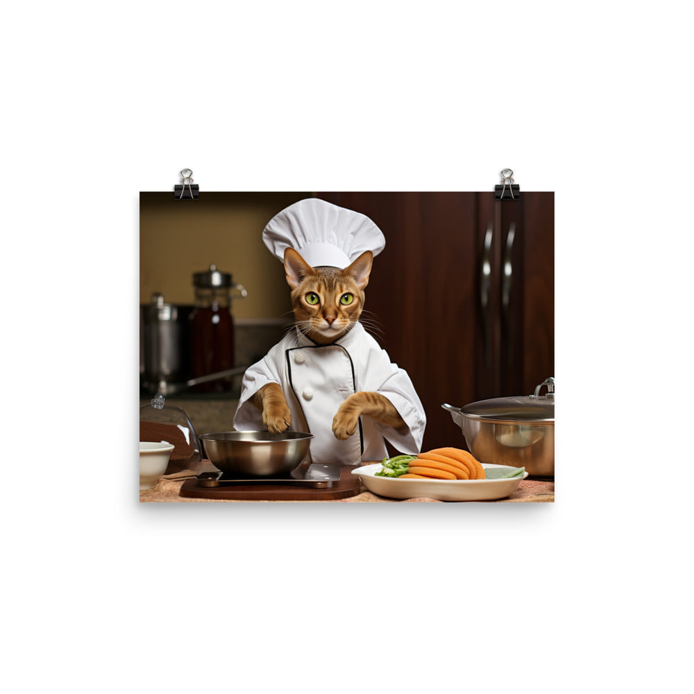 Abyssinian Chef Photo paper poster - PosterfyAI.com