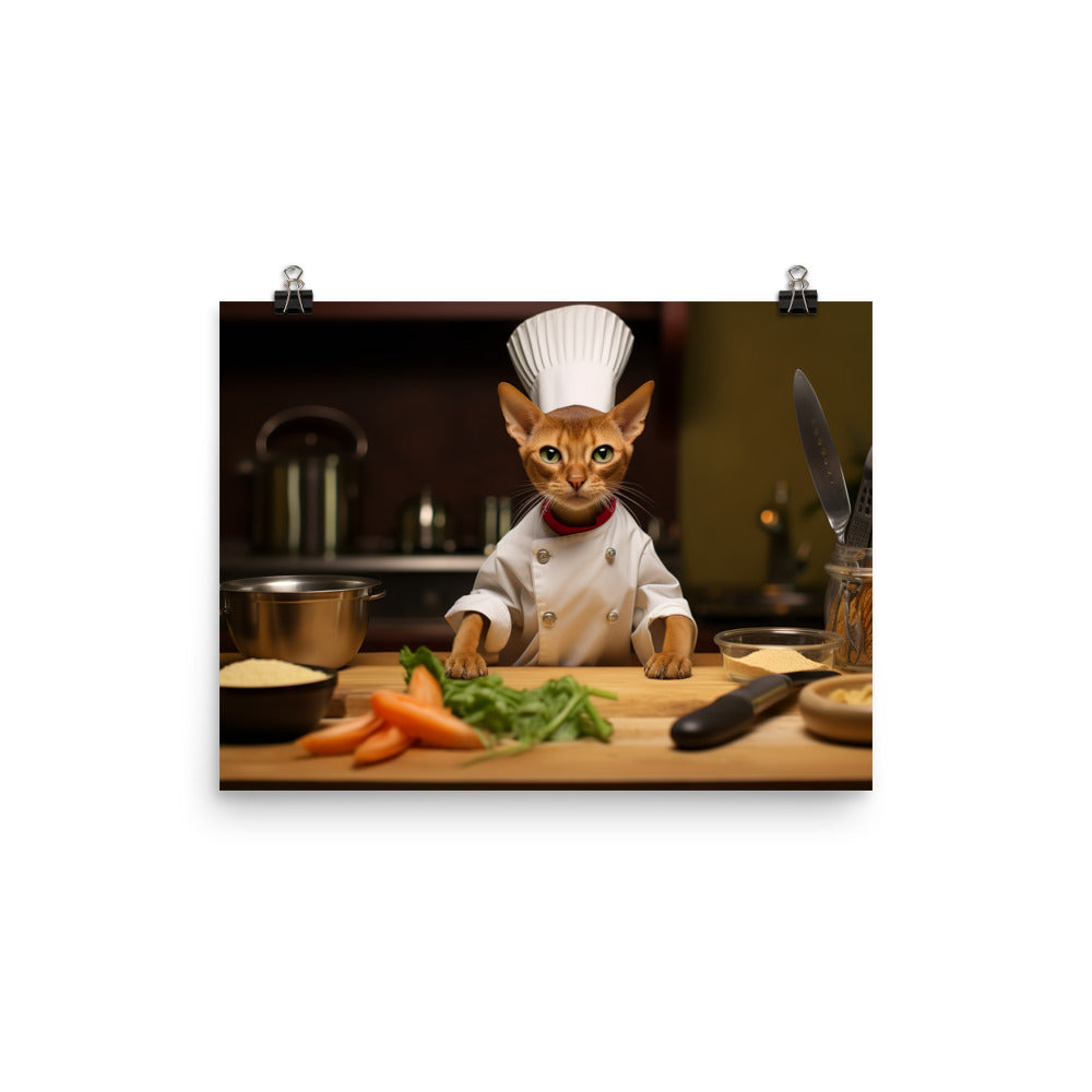Abyssinian Chef Photo paper poster - PosterfyAI.com