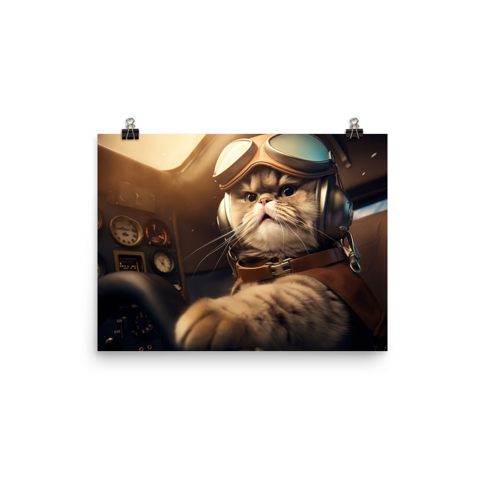 Scottish Fold Pilot Photo paper poster - PosterfyAI.com