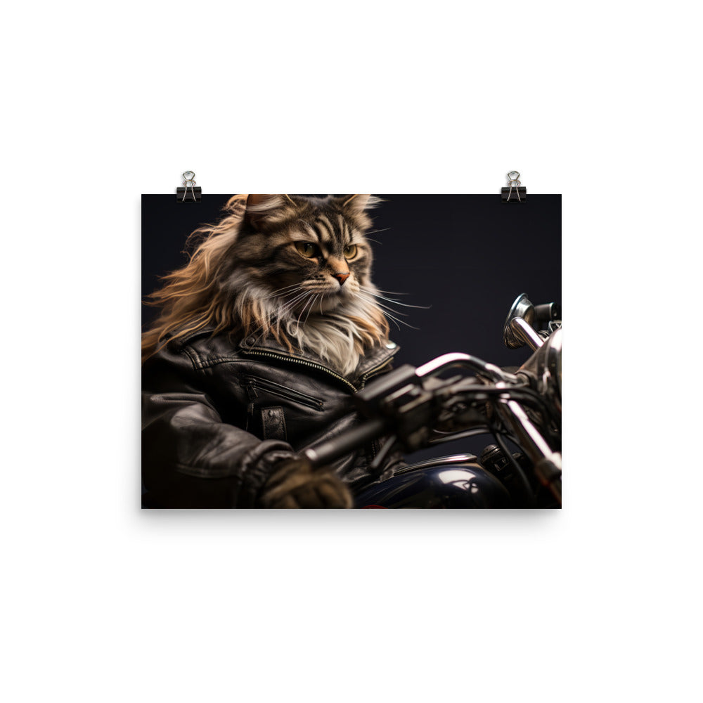 Maine Coon Superbike Athlete Photo paper poster - PosterfyAI.com