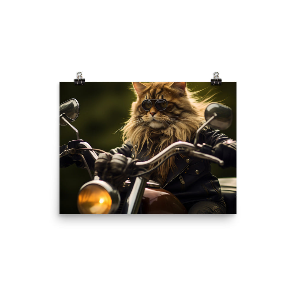 Maine Coon Superbike Athlete Photo paper poster - PosterfyAI.com