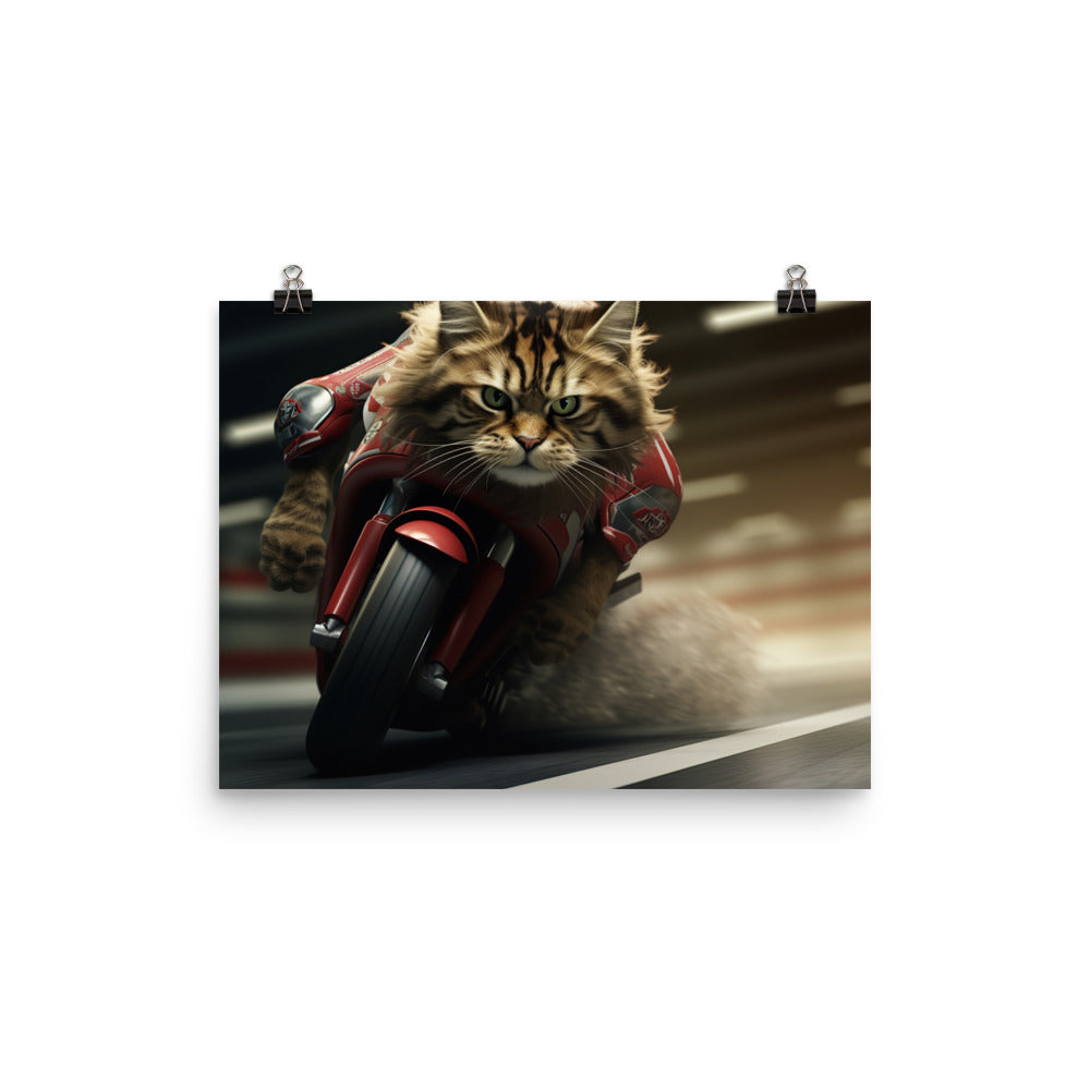 Maine Coon Superbike Athlete Photo paper poster - PosterfyAI.com